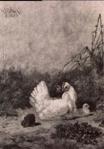 Mother Hen Tending Her New Chicks Oil Painting by William Baptiste Baird