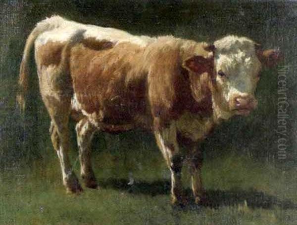 Junger Stier Oil Painting by Hermann Baisch