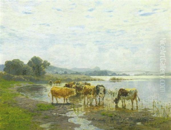 Kuhe An Der Tranke Am Ufer Eines Oberbayerischen Sees Oil Painting by Hermann Baisch