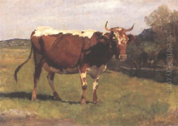 Kuh Auf Der Weide Oil Painting by Hermann Baisch