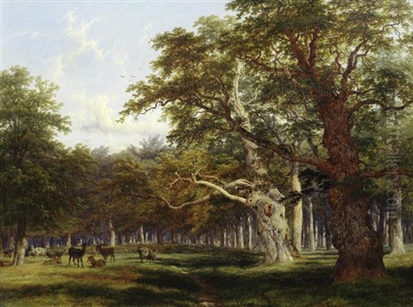 Deer In A Parkland Landscape Oil Painting by Thomas Baker