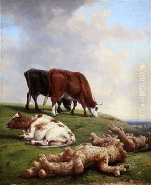 Cattle Grazing Beside A Fallen Tree Trunk Oil Painting by Thomas Baker