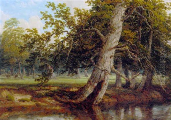 A Sunlit Wooded River Landscape Oil Painting by Thomas Baker