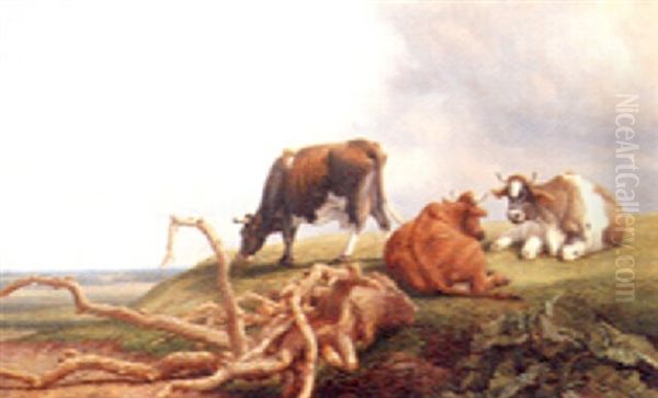 Cattle Resting In The Afternoon Sunshine Oil Painting by Thomas Baker