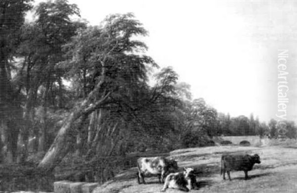 The Wood In The Jepson Gardens Oil Painting by Thomas Baker