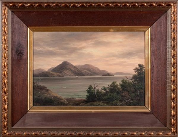 Pelorus Sounds Oil Painting by William George Baker