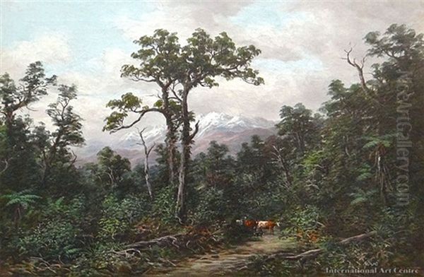 Nz Bush Scene Oil Painting by William George Baker