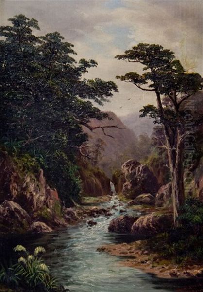 Stream In A Bush (hakuri Stream) Oil Painting by William George Baker