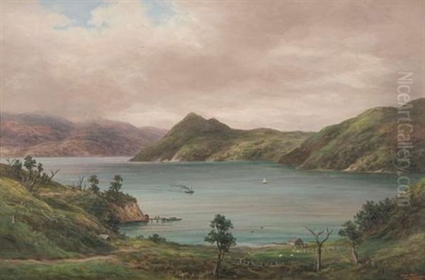 Torea Bay, Queen Charlotte Sounds Oil Painting by William George Baker