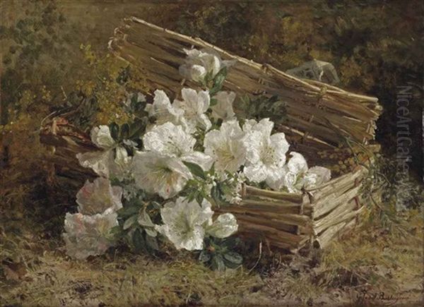 White Azaleas And Mimosas In A Wicker Basket On A Forest Floor Oil Painting by Gerardina Jacoba van de Sande Bakhuyzen