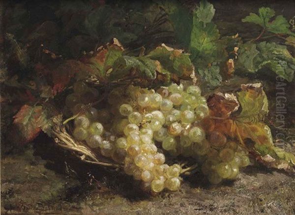 White Grapes In A Wicker Basket Oil Painting by Gerardina Jacoba van de Sande Bakhuyzen