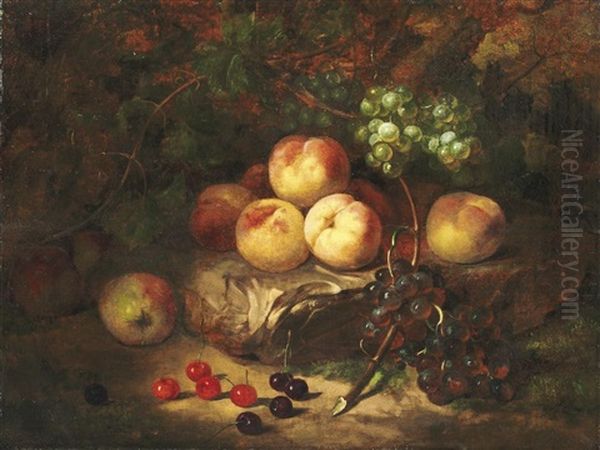 Waldbodenstilleben Mit Pfirsichen, Weintrauben Und Kirschen Oil Painting by Gerardina Jacoba van de Sande Bakhuyzen