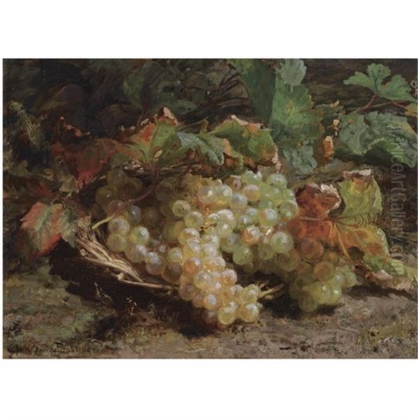 A Still Life With Grapes In A Basket Oil Painting by Gerardina Jacoba van de Sande Bakhuyzen