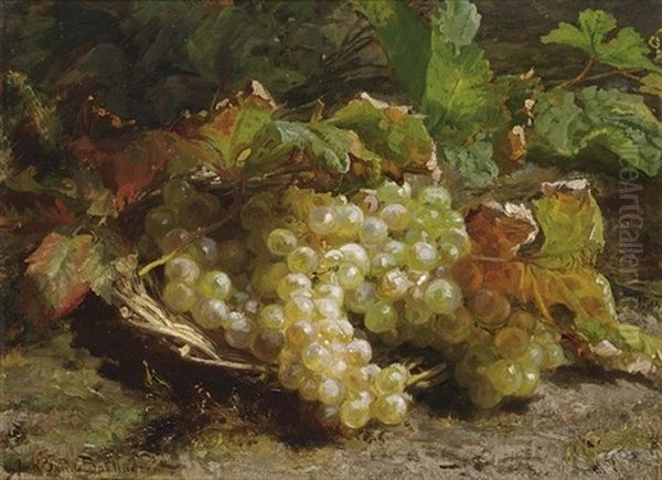 A Still Life With Grapes In A Basket Oil Painting by Gerardina Jacoba van de Sande Bakhuyzen