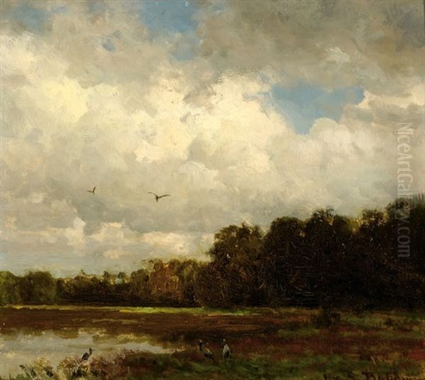 Herons On A Pond In A Polder Landscape Oil Painting by Hendrik van de Sande Bakhuyzen