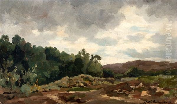 Bomen Langs Een Heideveld Oil Painting by Julius Jacobus Van De Sande Bakhuyzen