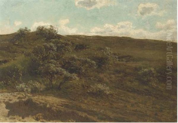 Shrubs On The Heath Oil Painting by Julius Jacobus Van De Sande Bakhuyzen