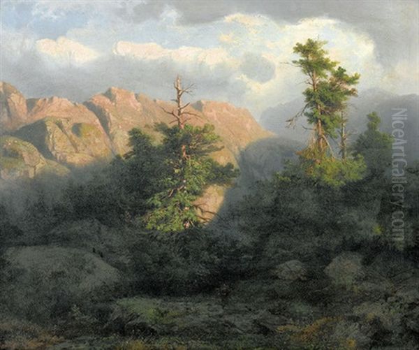 Gebirgslandschaft Mit Knorrigen Baumen Oil Painting by Julius Bakof