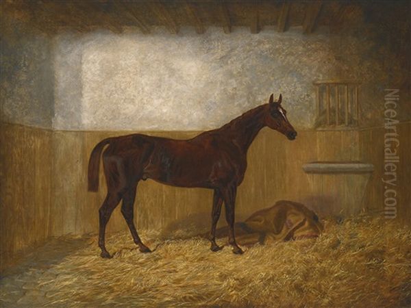 A Bay Racehorse In A Loose Box Oil Painting by James Walsham Baldock