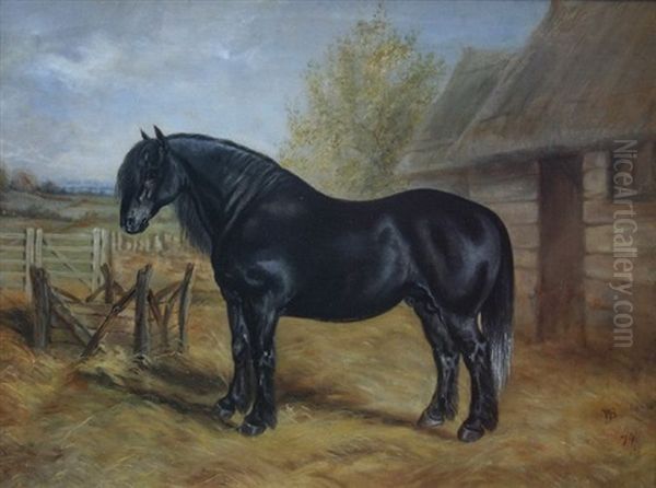 Portrait Of A Welsh Black Cob Horse Oil Painting by James Walsham Baldock