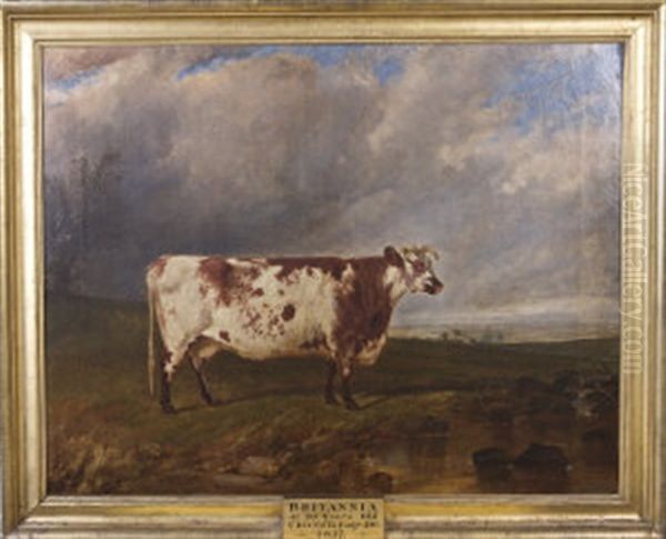 Prize Cow Britannia, Standing In A North Meath Landscape Oil Painting by James Walsham Baldock