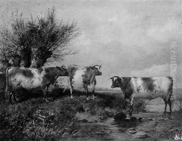 Cattle By A Stream by James Walsham Baldock