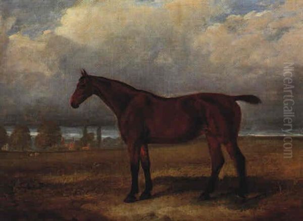 A Bay Hunter In A Landscape Oil Painting by James Walsham Baldock