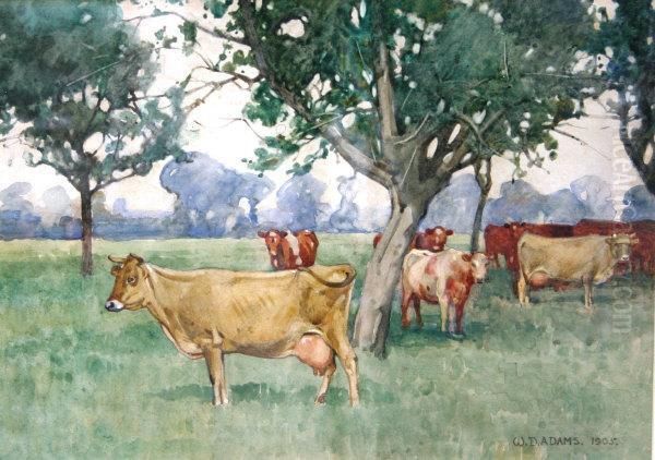 Study Of Cows In A Field Beneath Trees Oil Painting by William Dacre Adams