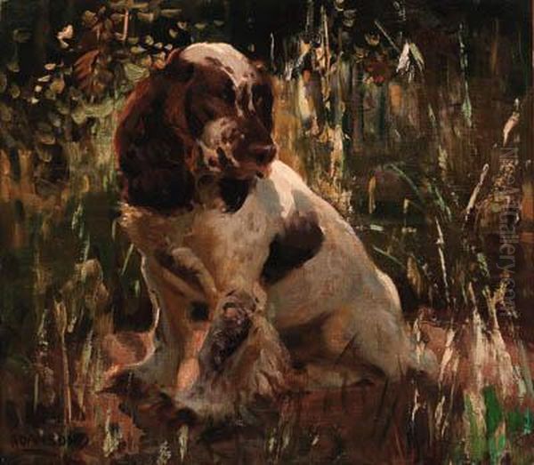 A Spaniel Oil Painting by Dorothy Adamson