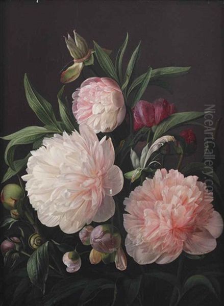 Blooming Peonies by Carl Vilhelm Balsgaard