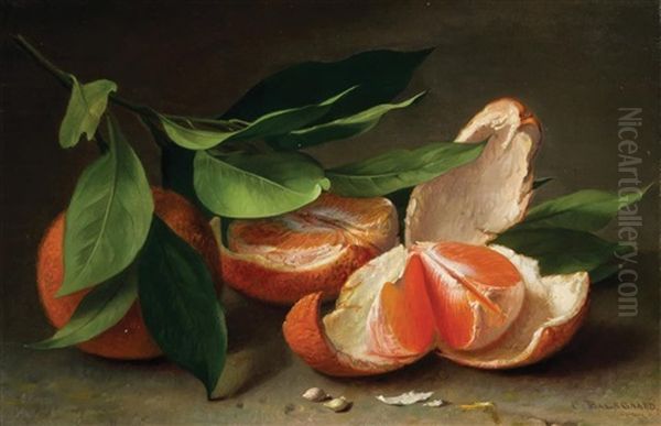 Still Life With Tangerine Oil Painting by Carl Vilhelm Balsgaard