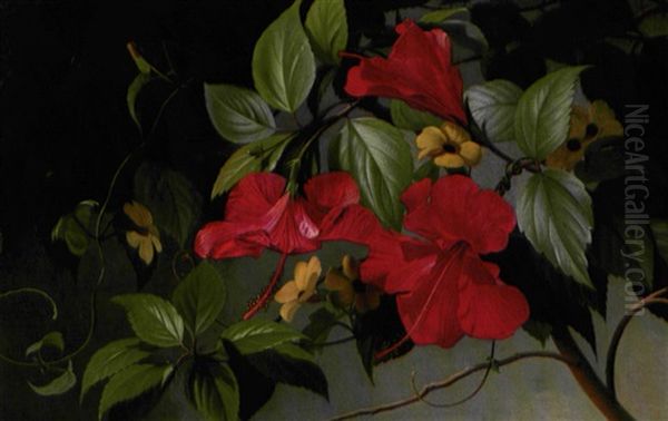 Blomstrende Hibiscus Oil Painting by Carl Vilhelm Balsgaard