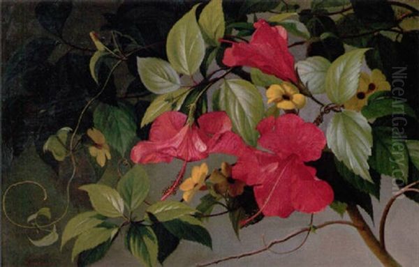 Hawaiiblomster (hibiscus) Oil Painting by Carl Vilhelm Balsgaard