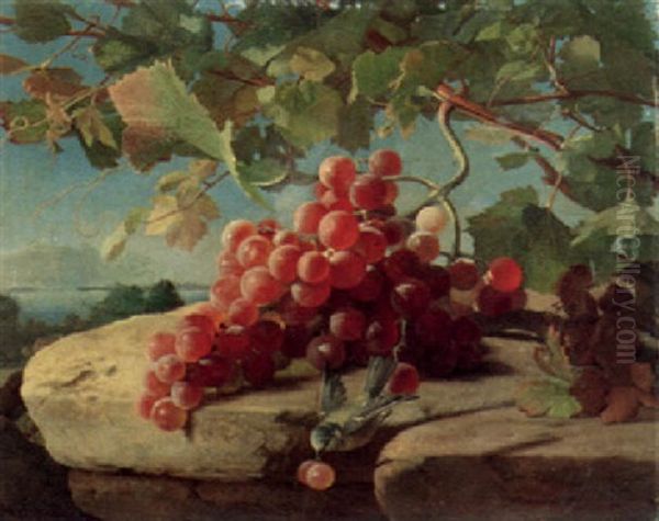 Red Grapes And Bird On A Stone Ledge Oil Painting by Carl Vilhelm Balsgaard