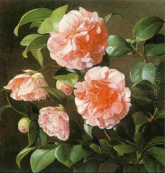 Pink Gardenias Oil Painting by Carl Vilhelm Balsgaard