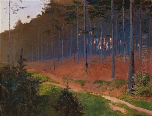 Forest Path Near Weinzierl  (according To Tradition) Oil Painting by Gustav Bamberger