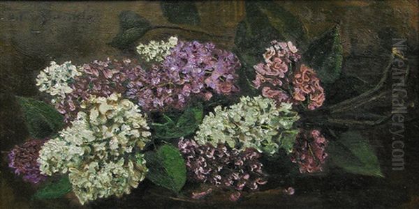 Lilac Flowers Oil Painting by Octav Bancila