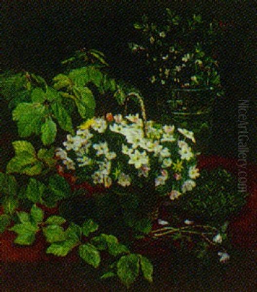 Opstilling Med Anemoner Og Bogegrene Oil Painting by Ingeborg Marie Bang