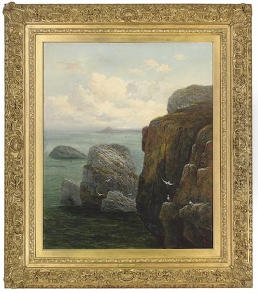 The Farne Islands Oil Painting by Thomas J. Banks