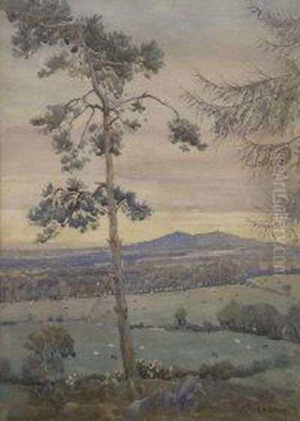 From Near Stepaside Oil Painting by Joseph Poole Addey