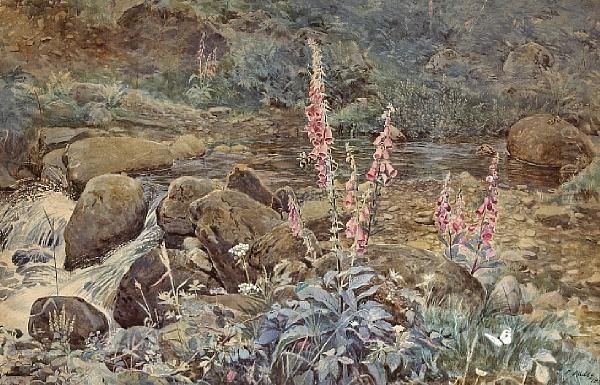 Fox Gloves By A Summer Stream Oil Painting by Joseph Poole Addey