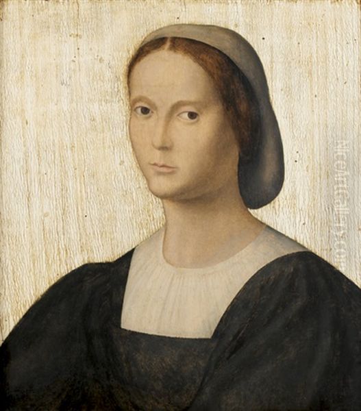 Portrait De Femme A La Coiffe Oil Painting by Jacopo de Barbari