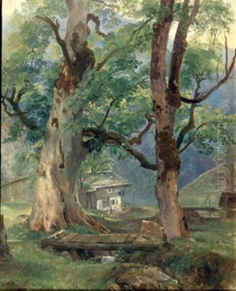 Ahornbaume Beim Konigsee Oil Painting by Franz Barbarini