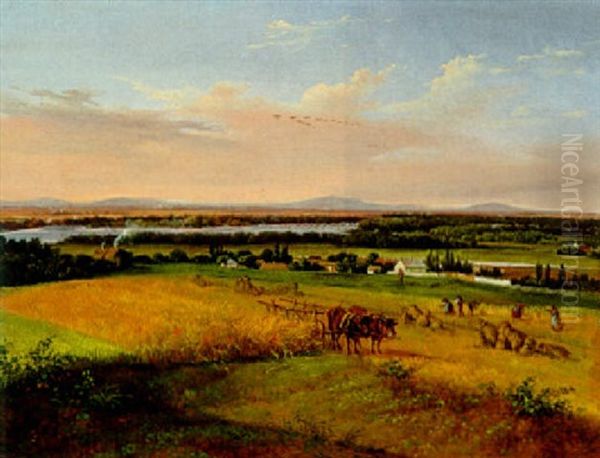 Die Donauauen Bei Schwechat Oil Painting by Franz Barbarini