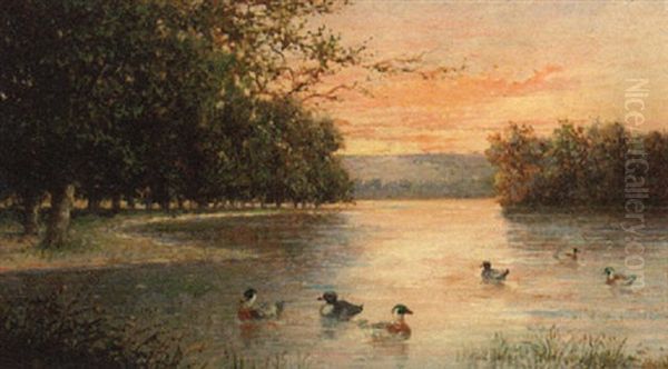 Ducks In A River Landscape Oil Painting by Mariano Barbasan Lagueruela