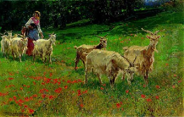 In The Poppy Field Oil Painting by Mariano Barbasan Lagueruela