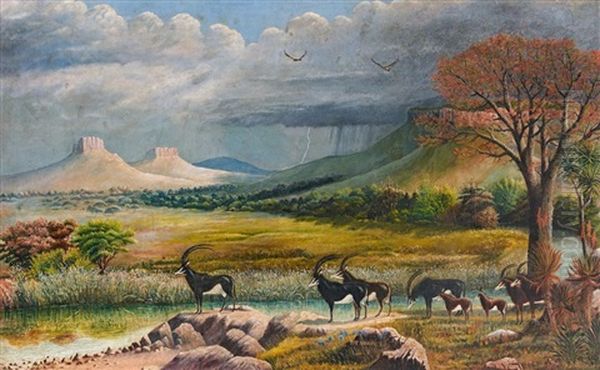 South African Wildlife, Three Oil Painting by Frederick Hugh Barber