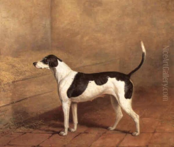 The Hound 'nosegay' In A Stable Oil Painting by James Barenger the Elder