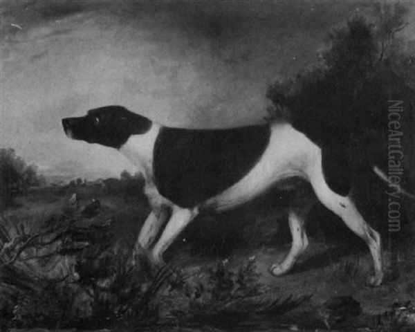 A Pointer In A Landscape Oil Painting by James Barenger the Elder