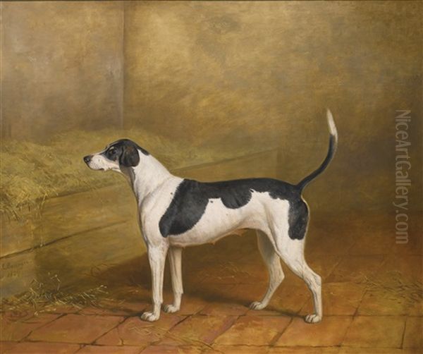 Nosegay, A Hound Bitch In A Kennel Oil Painting by James Barenger the Younger